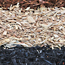 image12