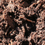 image22